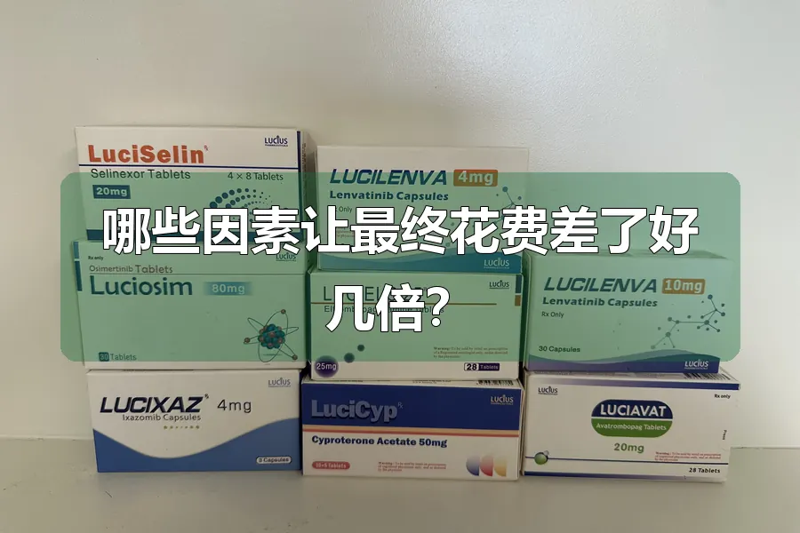 哪些因素让最终花费差了好几倍?